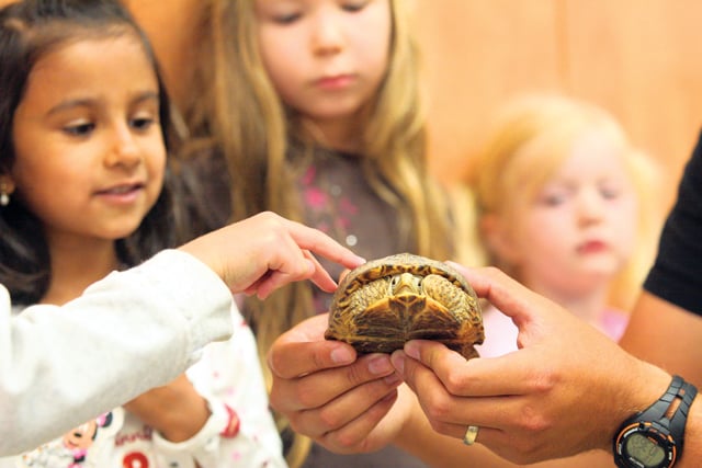 Camp Zoo offers unique experience for campers